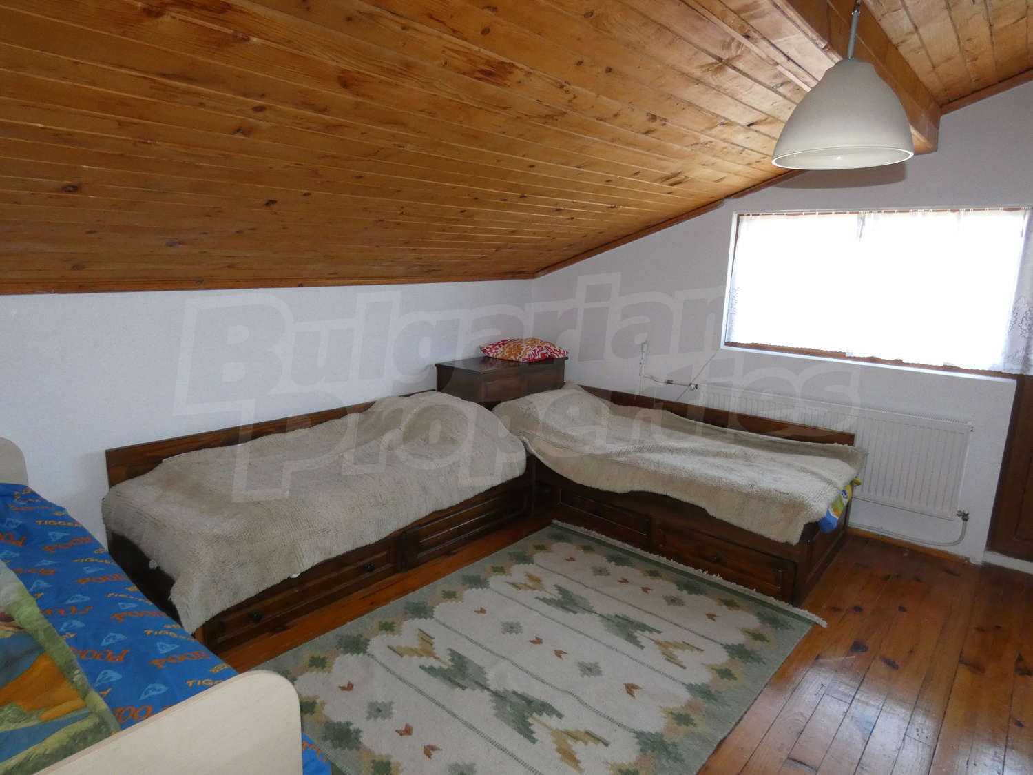 Gallery Picture 63