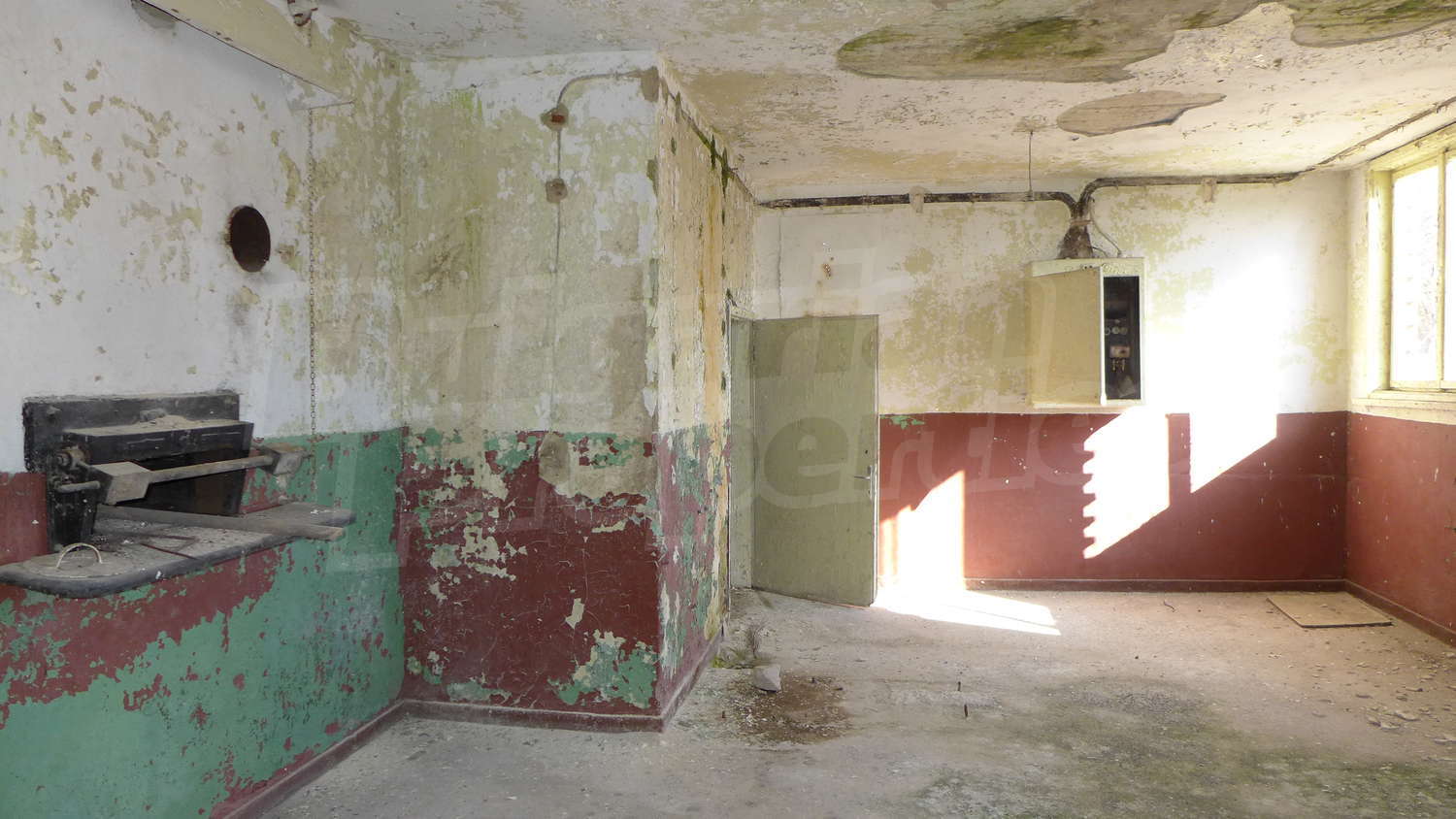 Gallery Picture 4