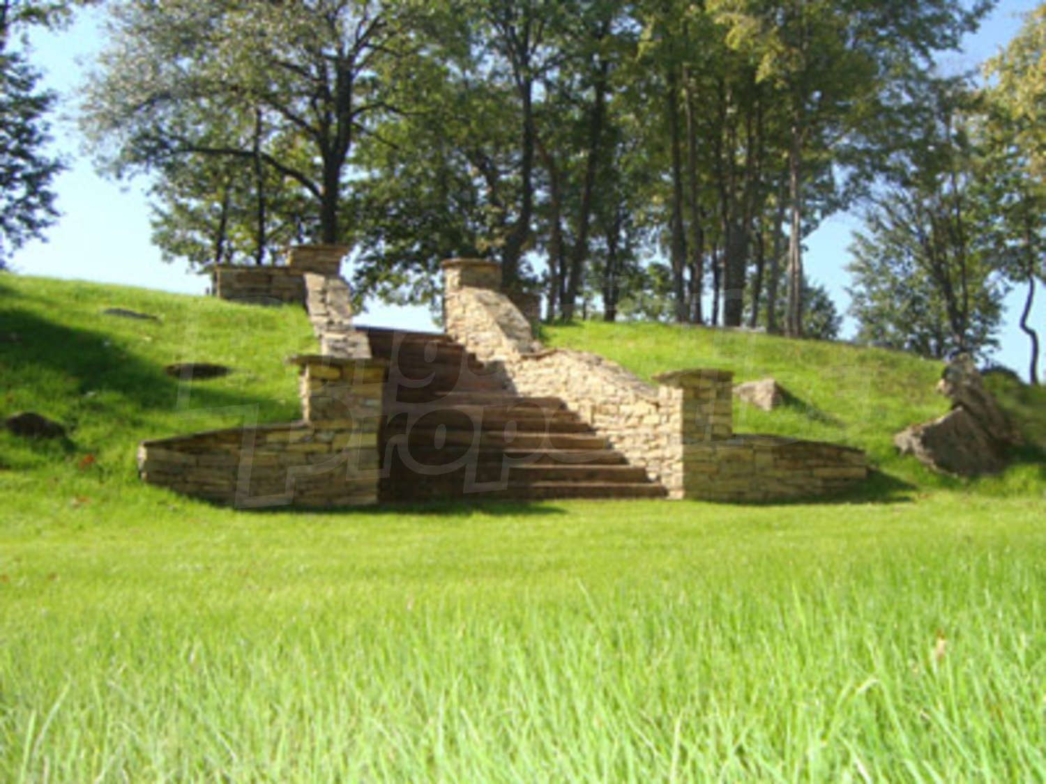 Gallery Picture 19