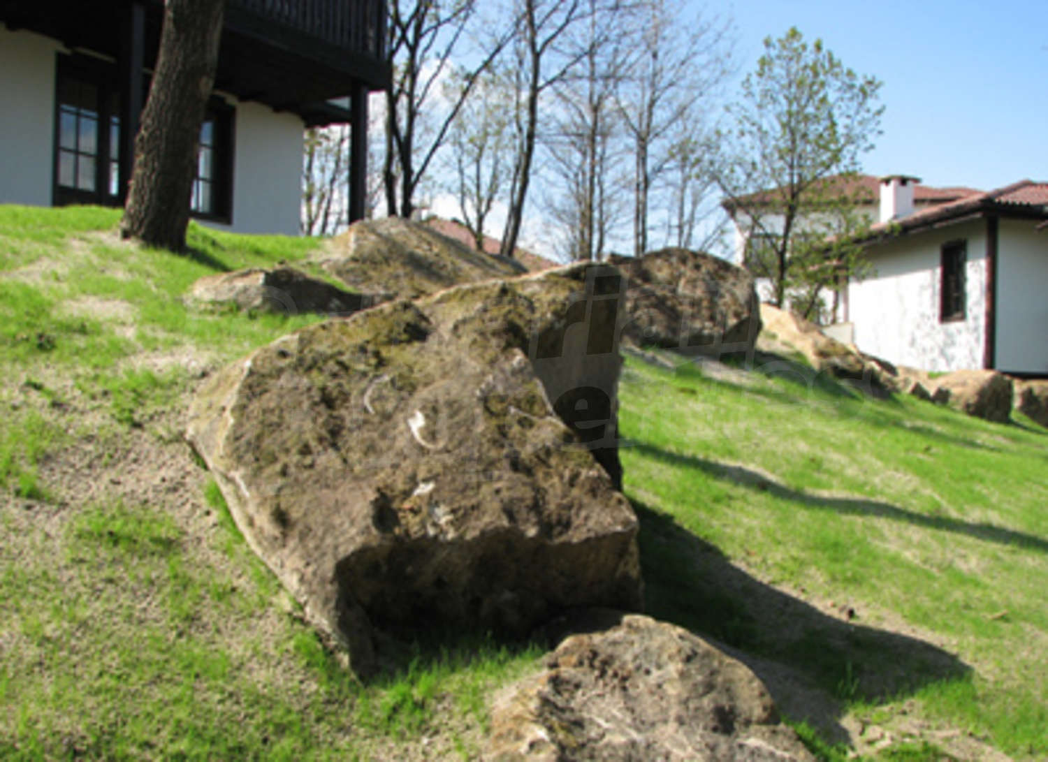 Gallery Picture 22