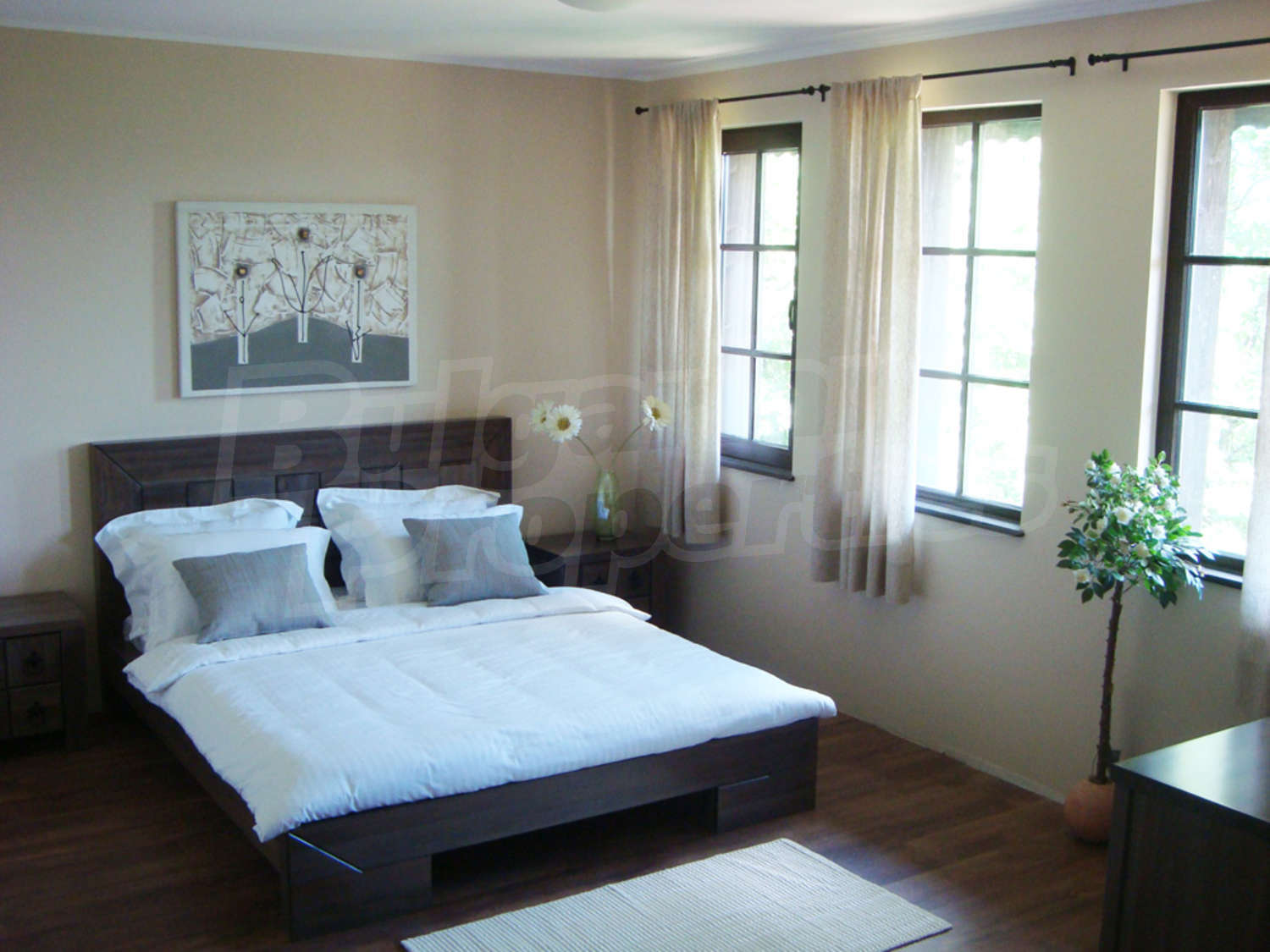 Gallery Picture 41