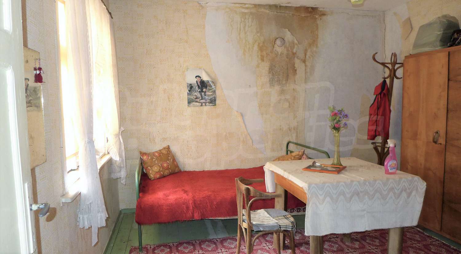 Gallery Picture 24