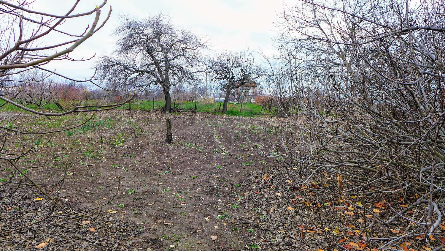 Gallery Picture 29