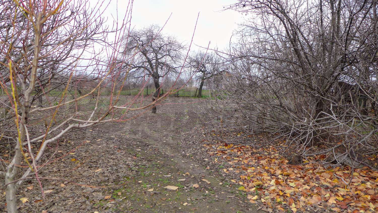 Gallery Picture 32
