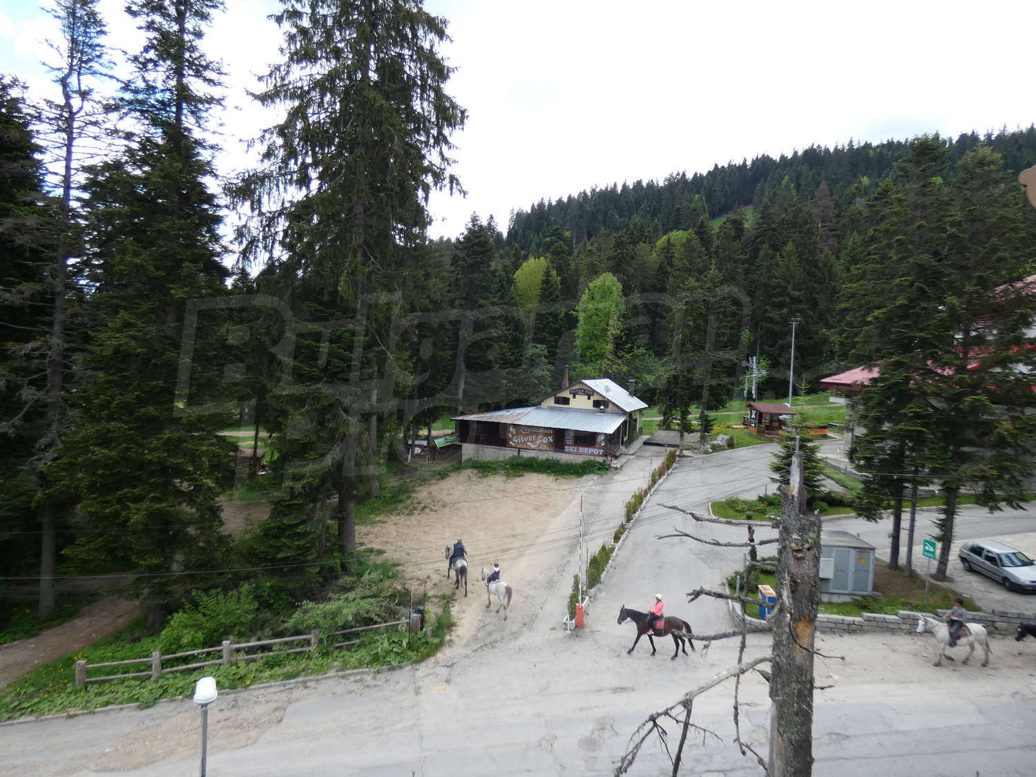 Gallery Picture 15