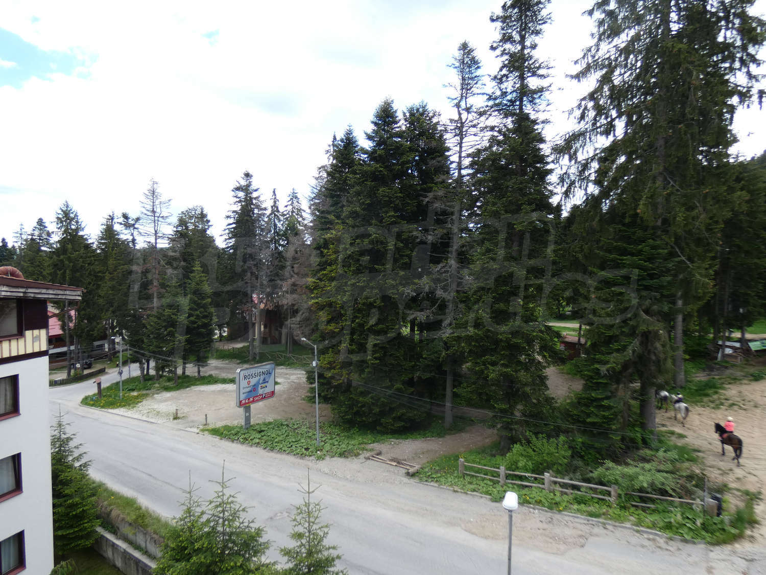Gallery Picture 16