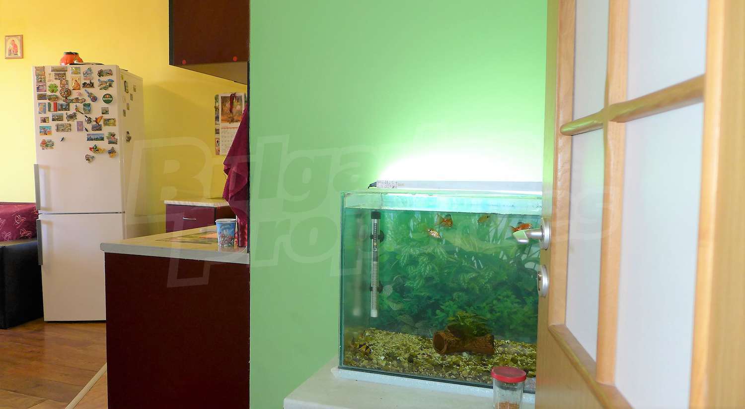 Gallery Picture 16
