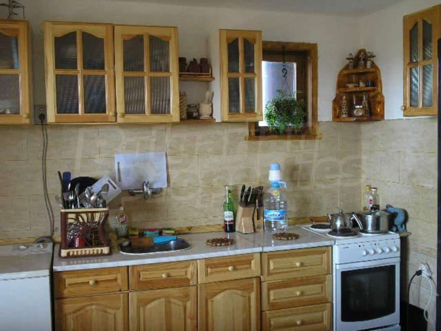 Gallery Picture 10