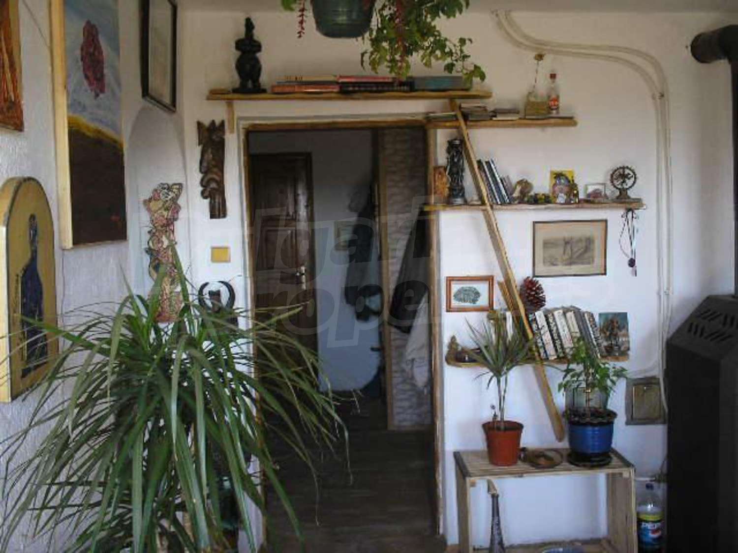 Gallery Picture 11