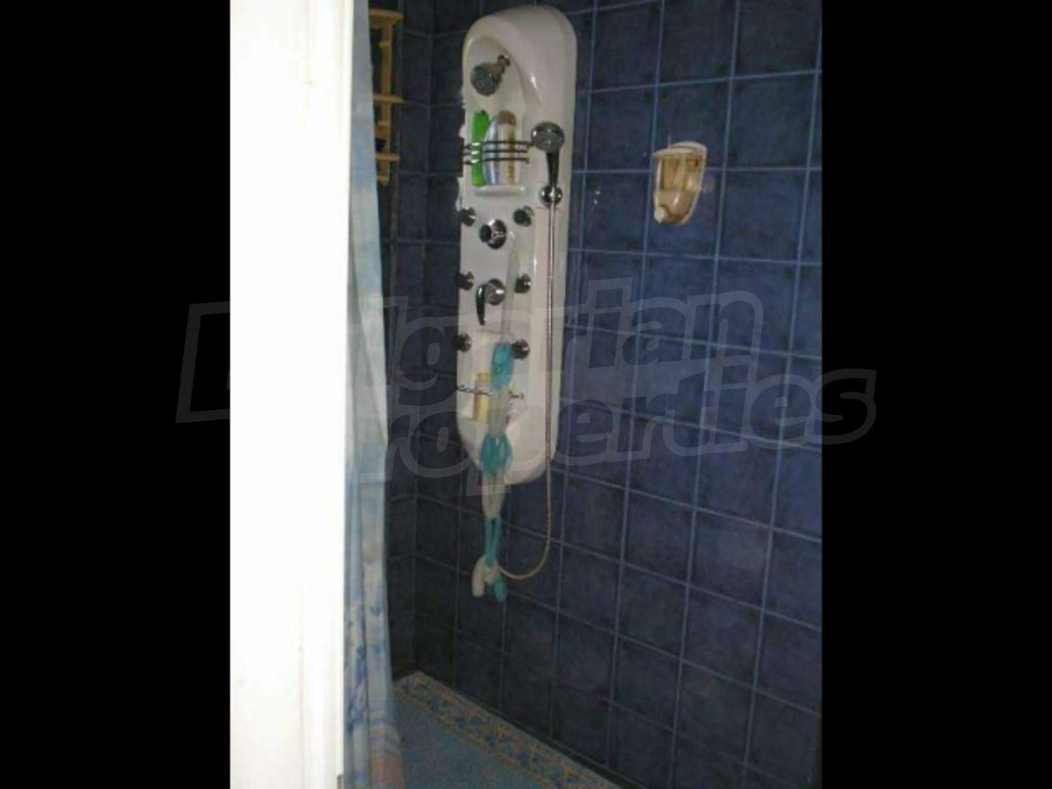 Gallery Picture 15