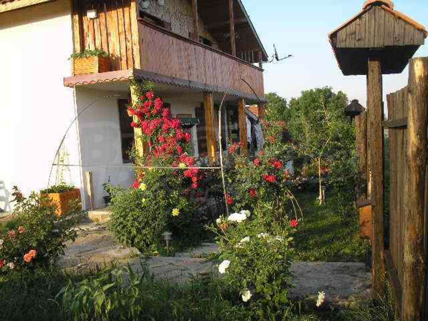 Gallery Picture 17