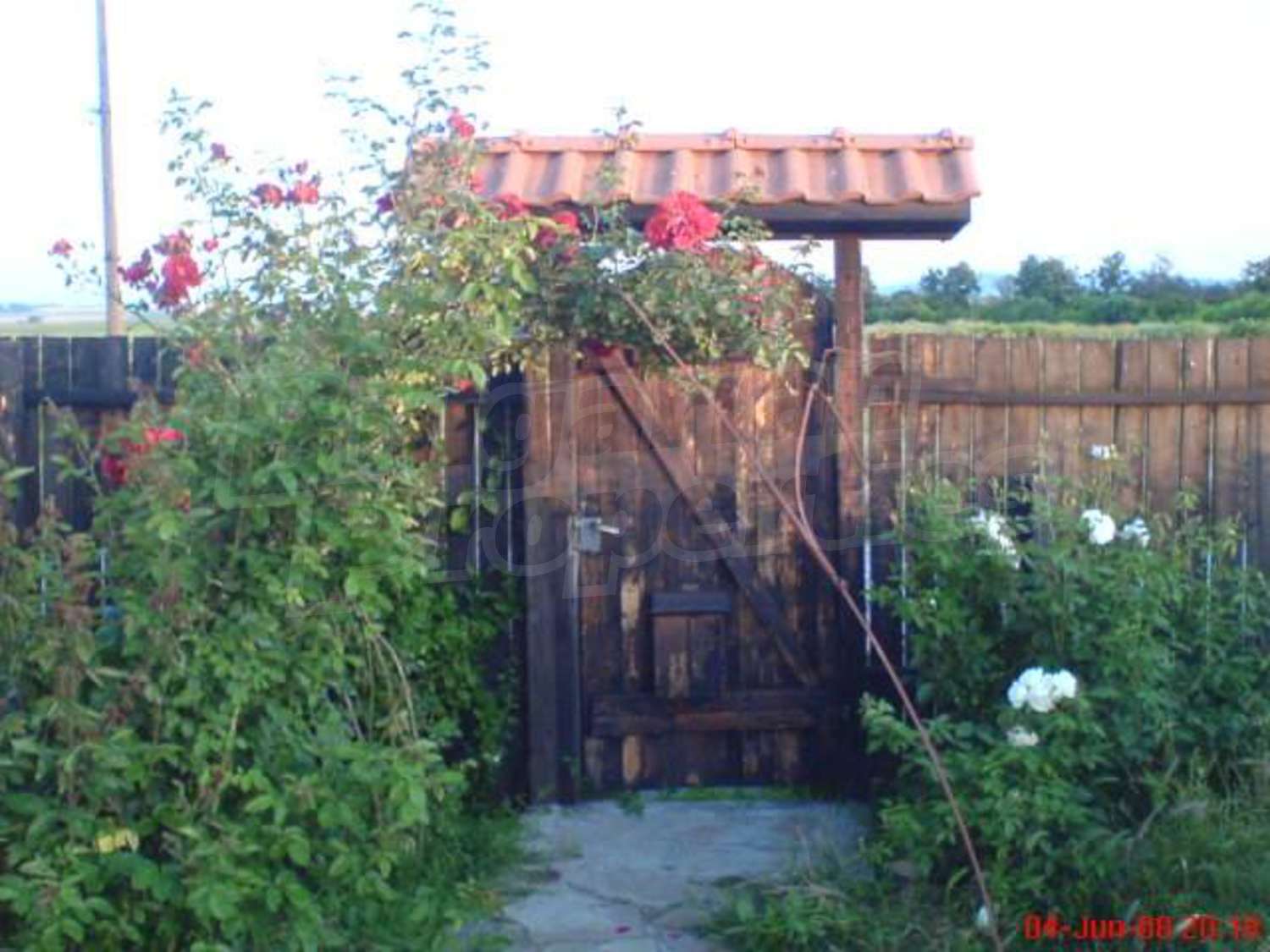 Gallery Picture 18