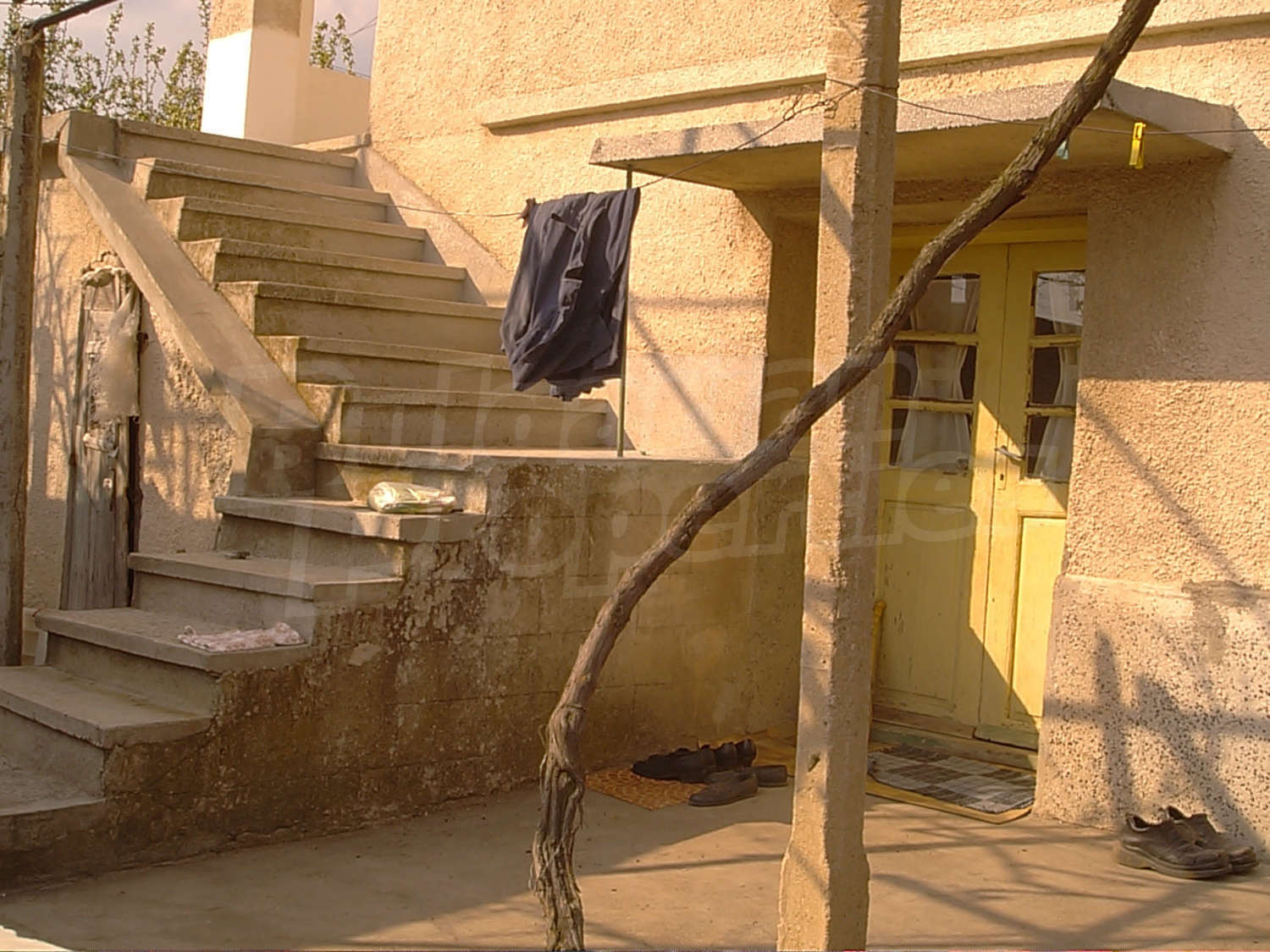 Gallery Picture 15