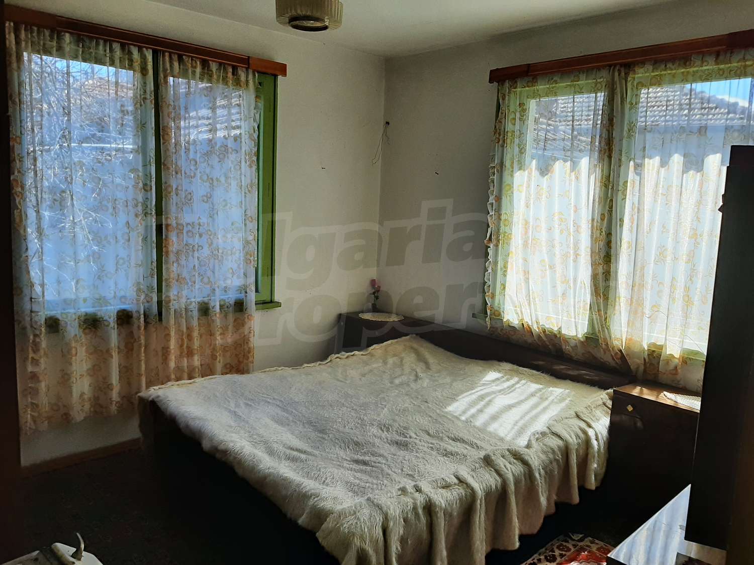Gallery Picture 10
