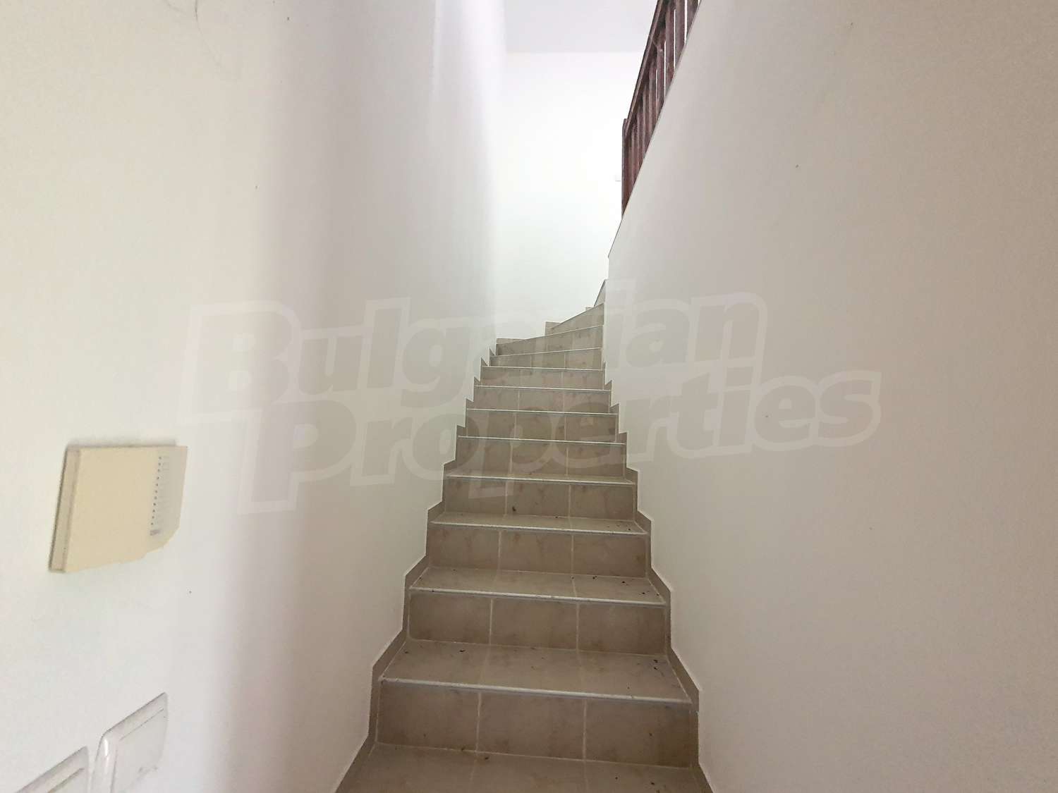 Gallery Picture 16