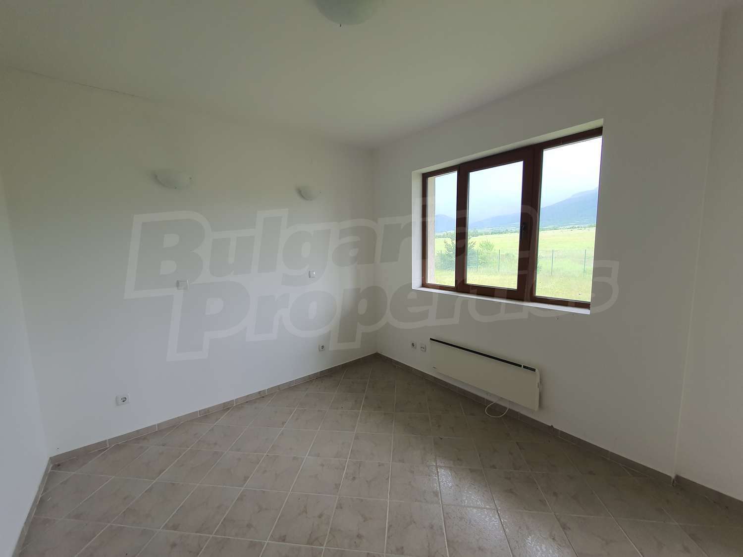 Gallery Picture 31