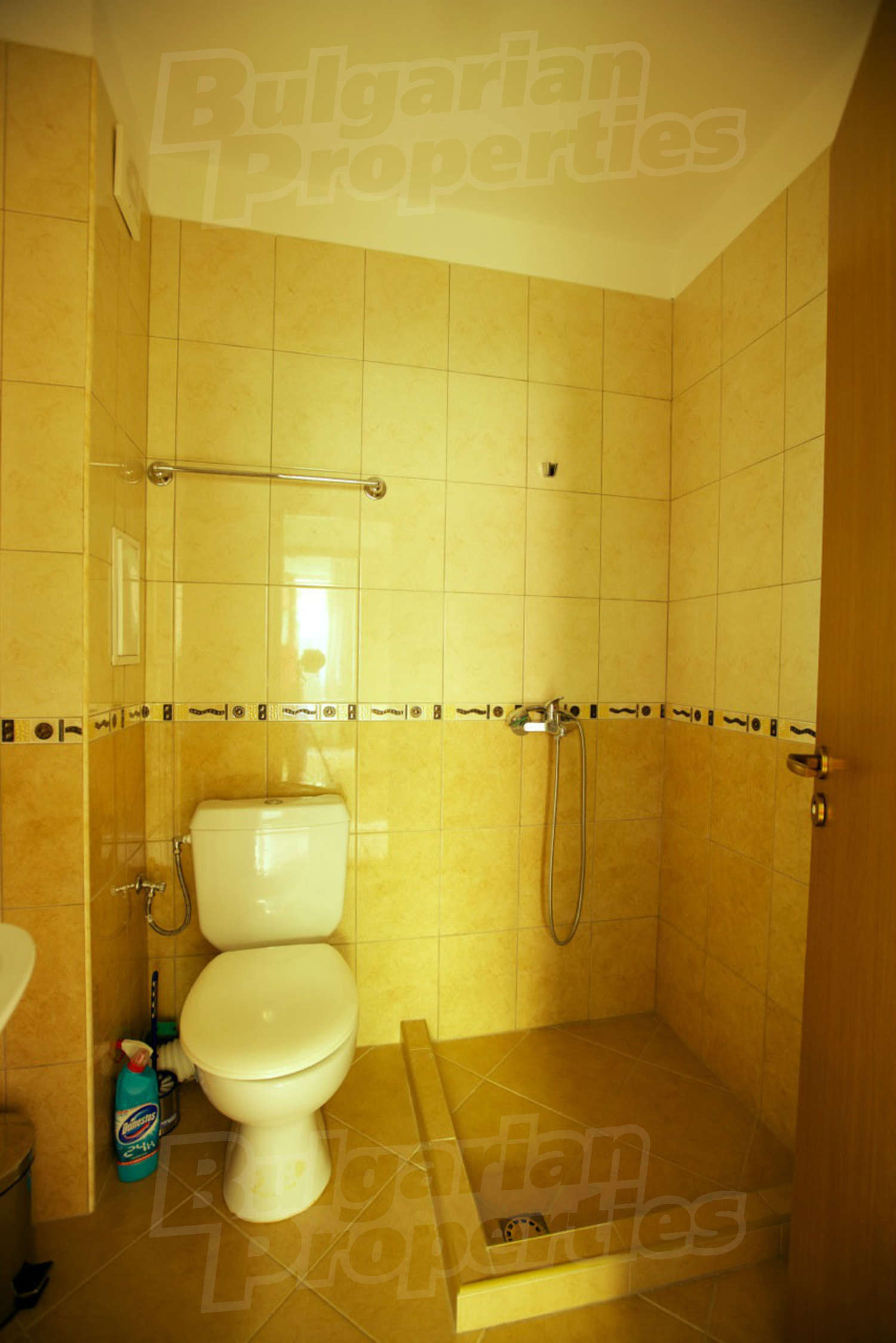 Gallery Picture 11