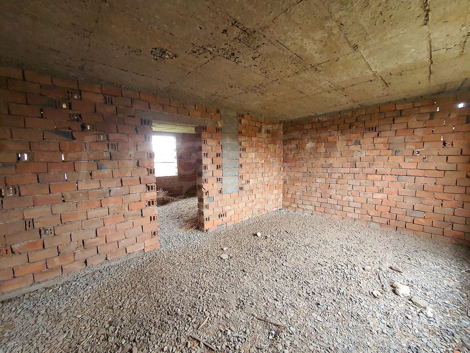 Gallery Picture 12