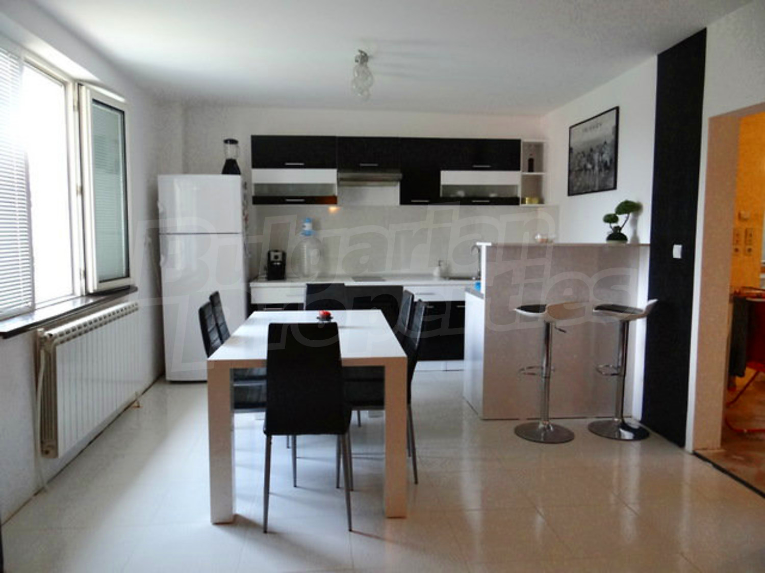 Gallery Picture 17