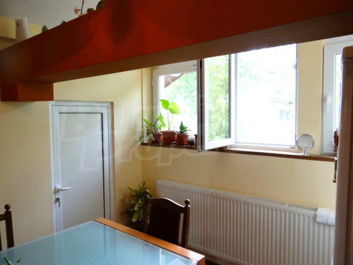 Gallery Picture 46