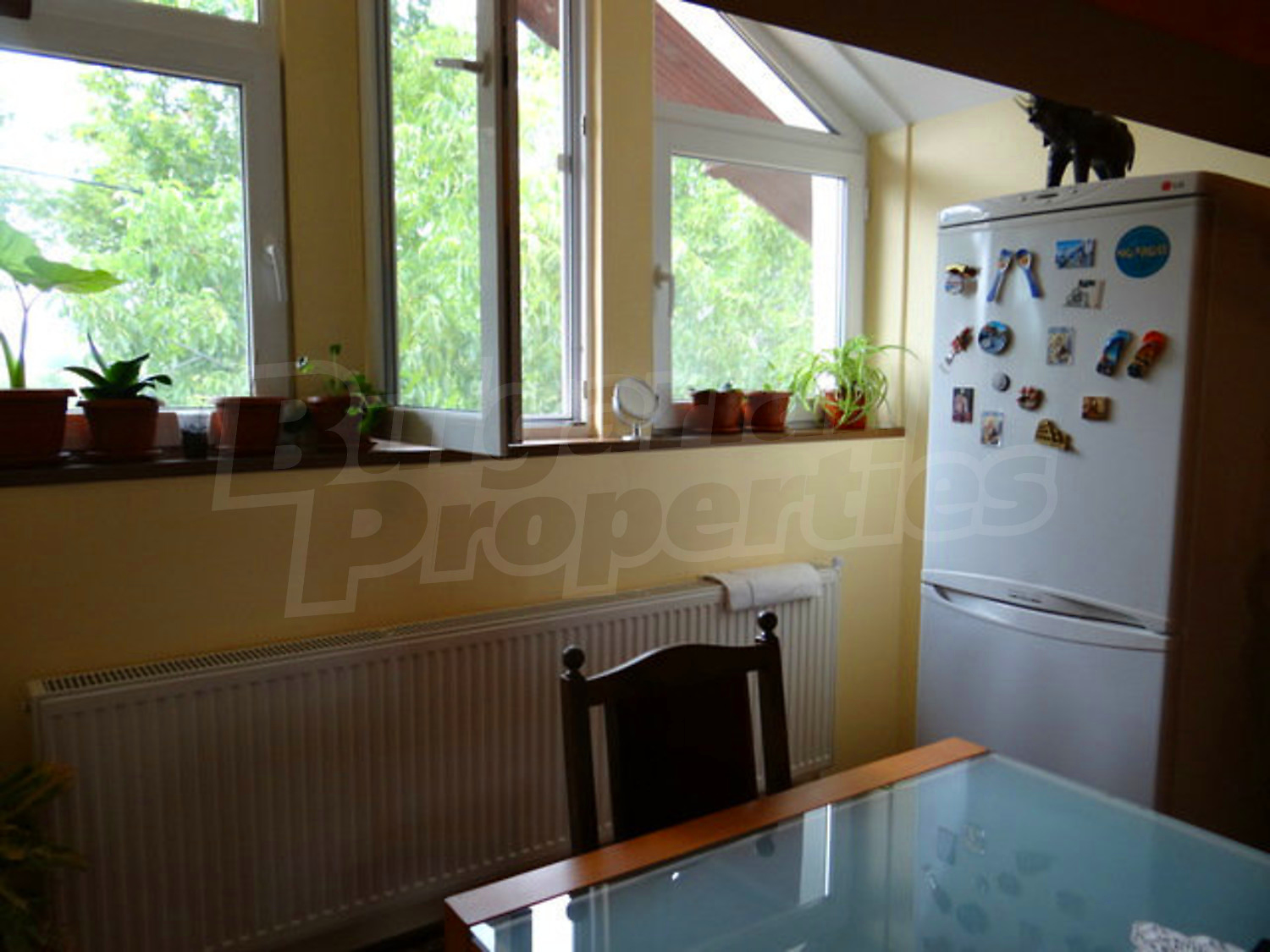 Gallery Picture 50