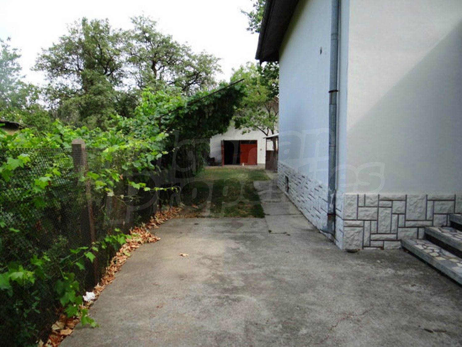 Gallery Picture 6