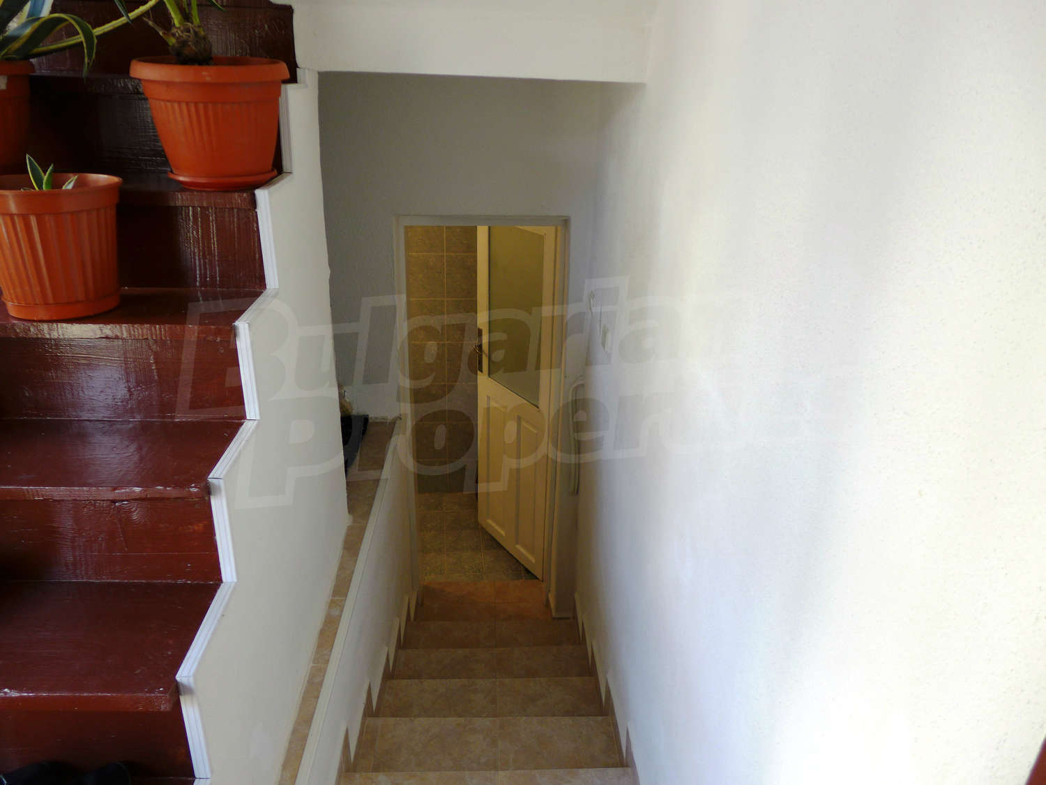 Gallery Picture 13