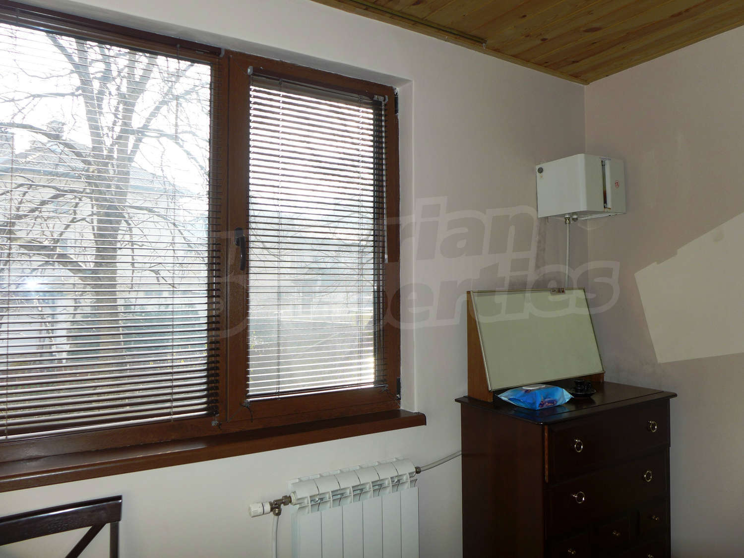 Gallery Picture 38