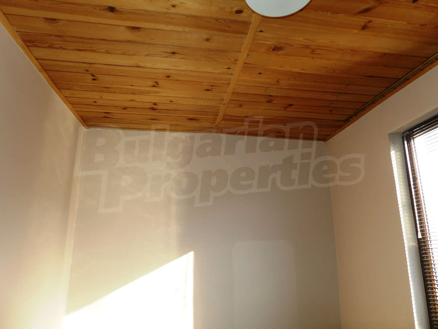 Gallery Picture 41