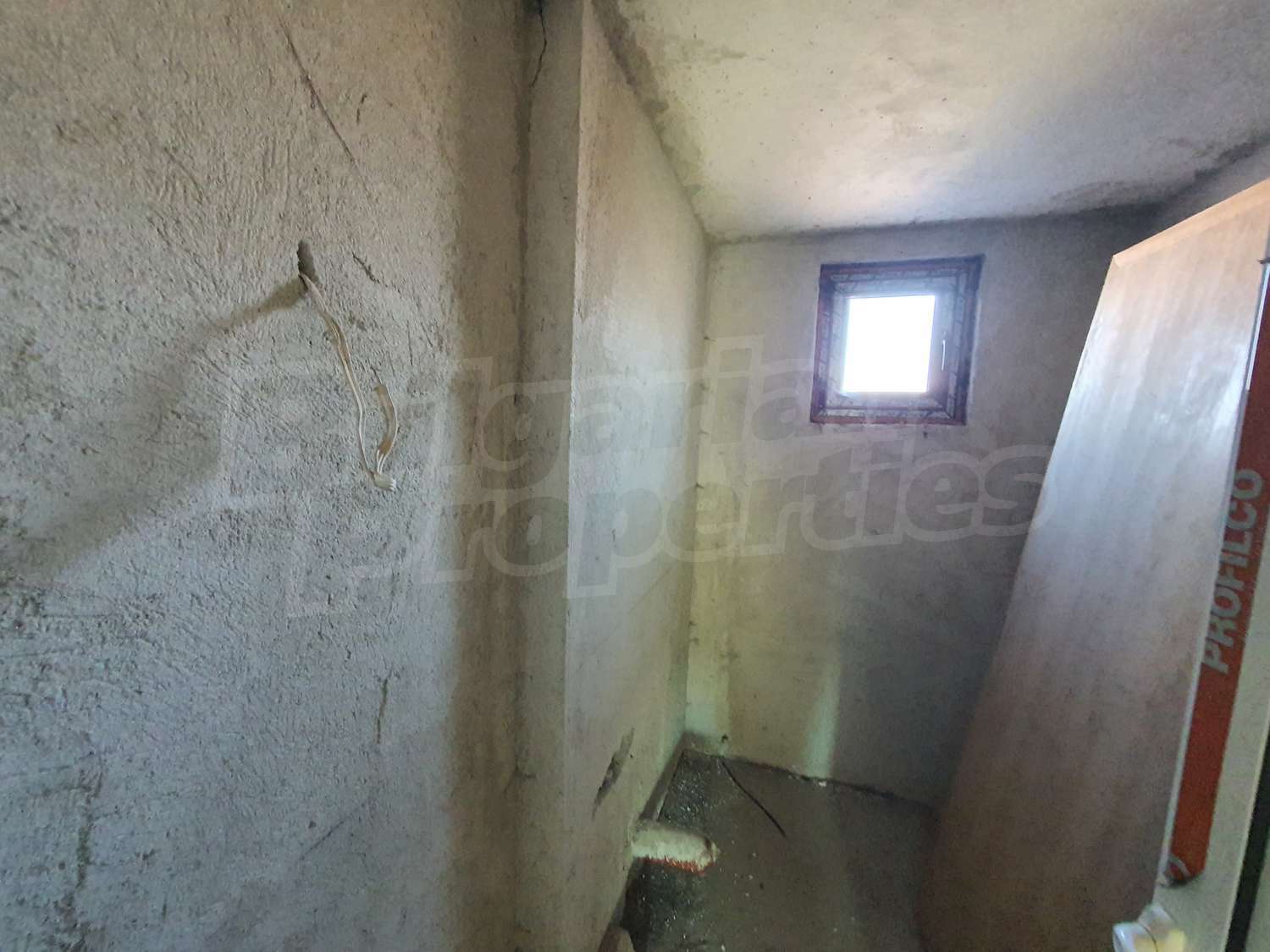 Gallery Picture 13