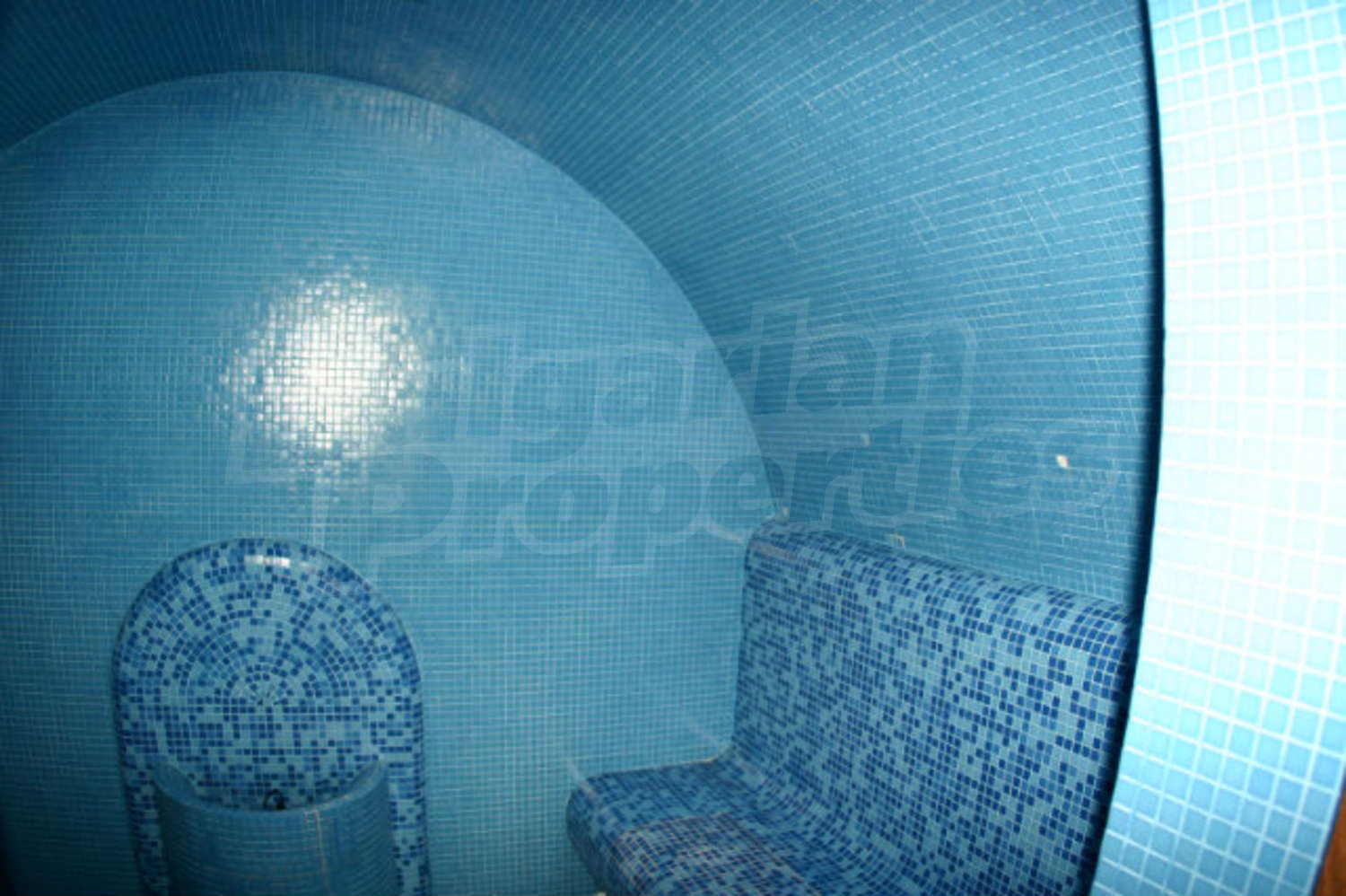 Gallery Picture 25