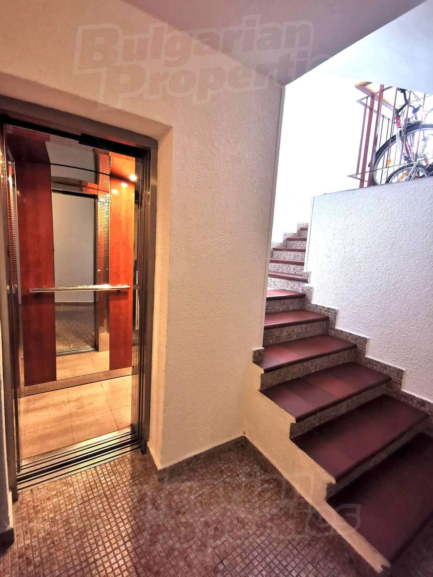 Gallery Picture 19