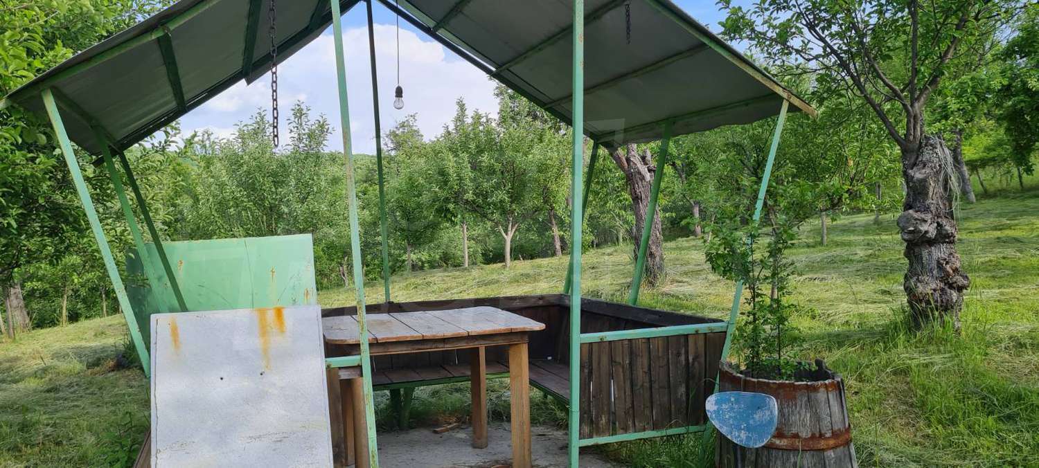 Gallery Picture 4