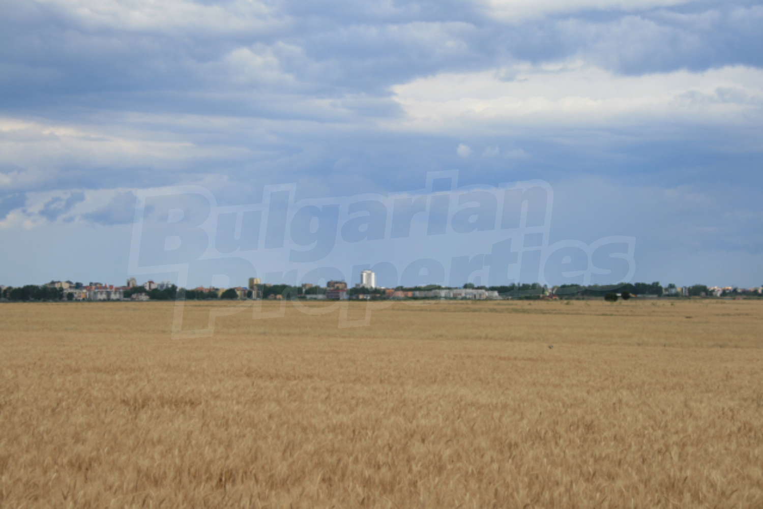 Gallery Picture 6