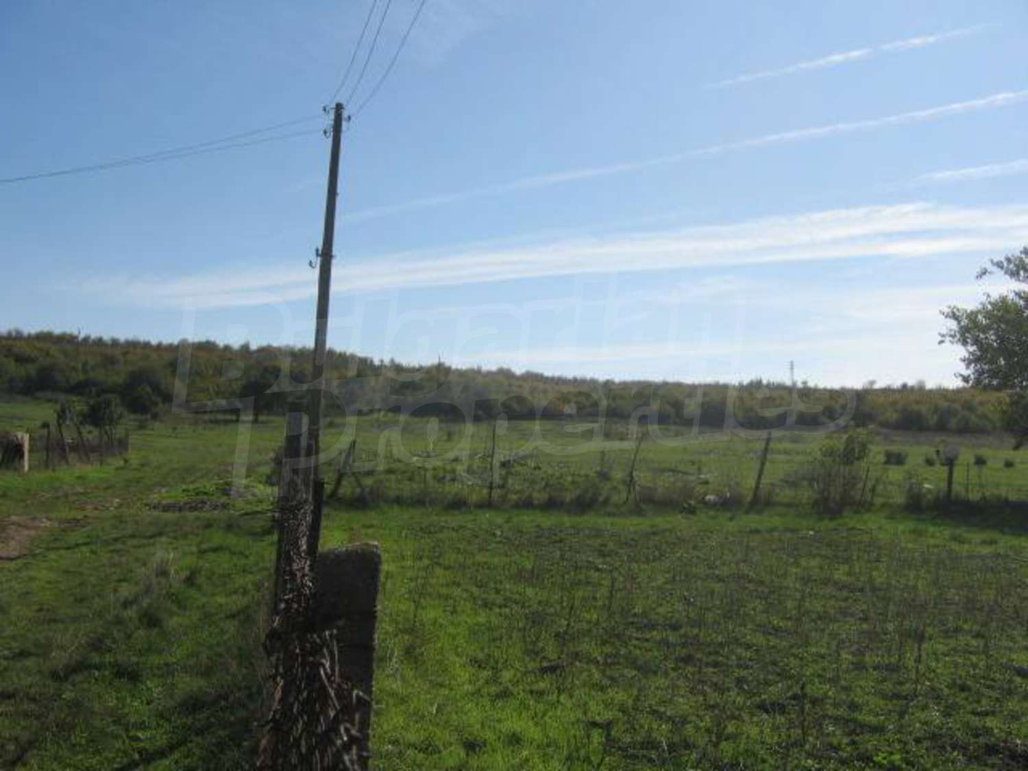 Gallery Picture 10