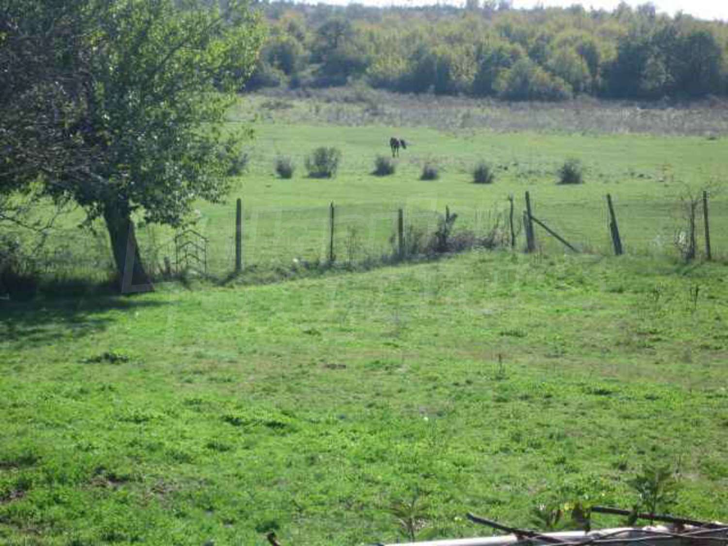 Gallery Picture 12