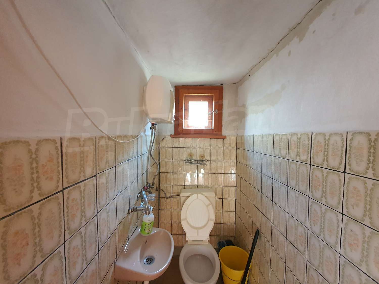 Gallery Picture 51