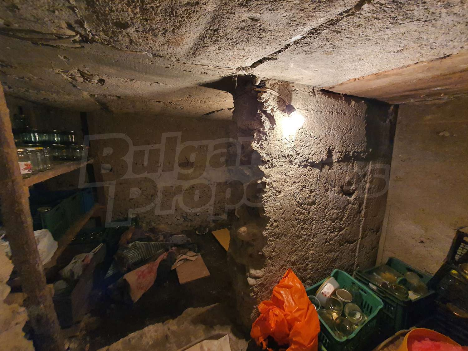 Gallery Picture 53