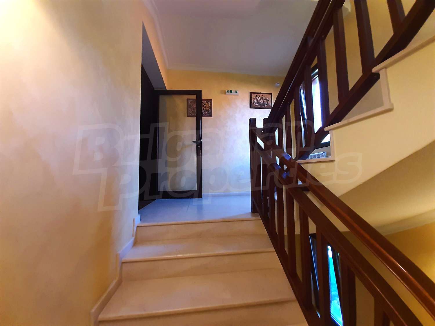 Gallery Picture 29