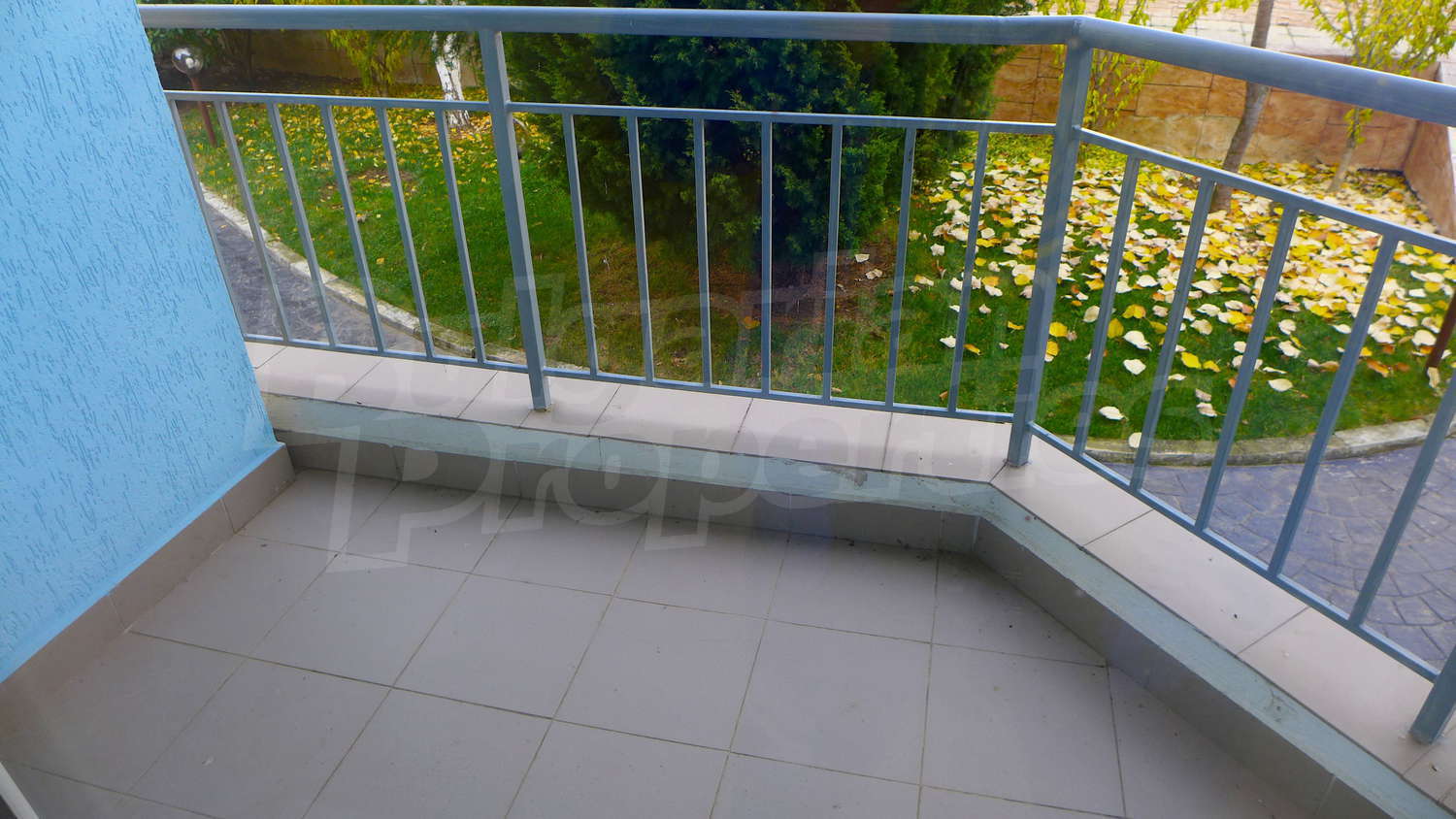 Gallery Picture 15