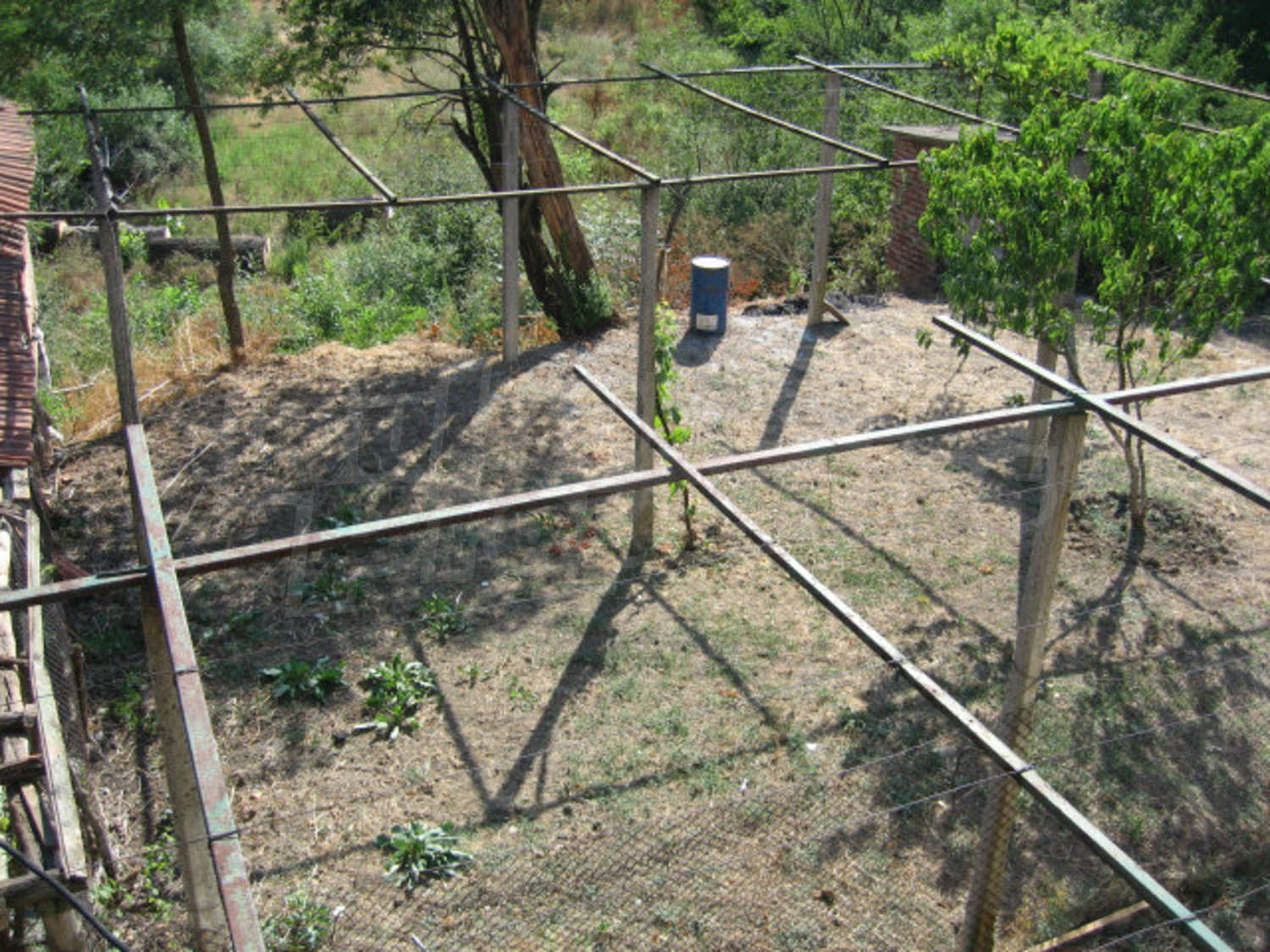 Gallery Picture 10