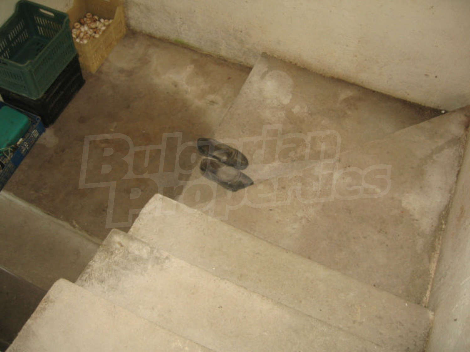 Gallery Picture 31