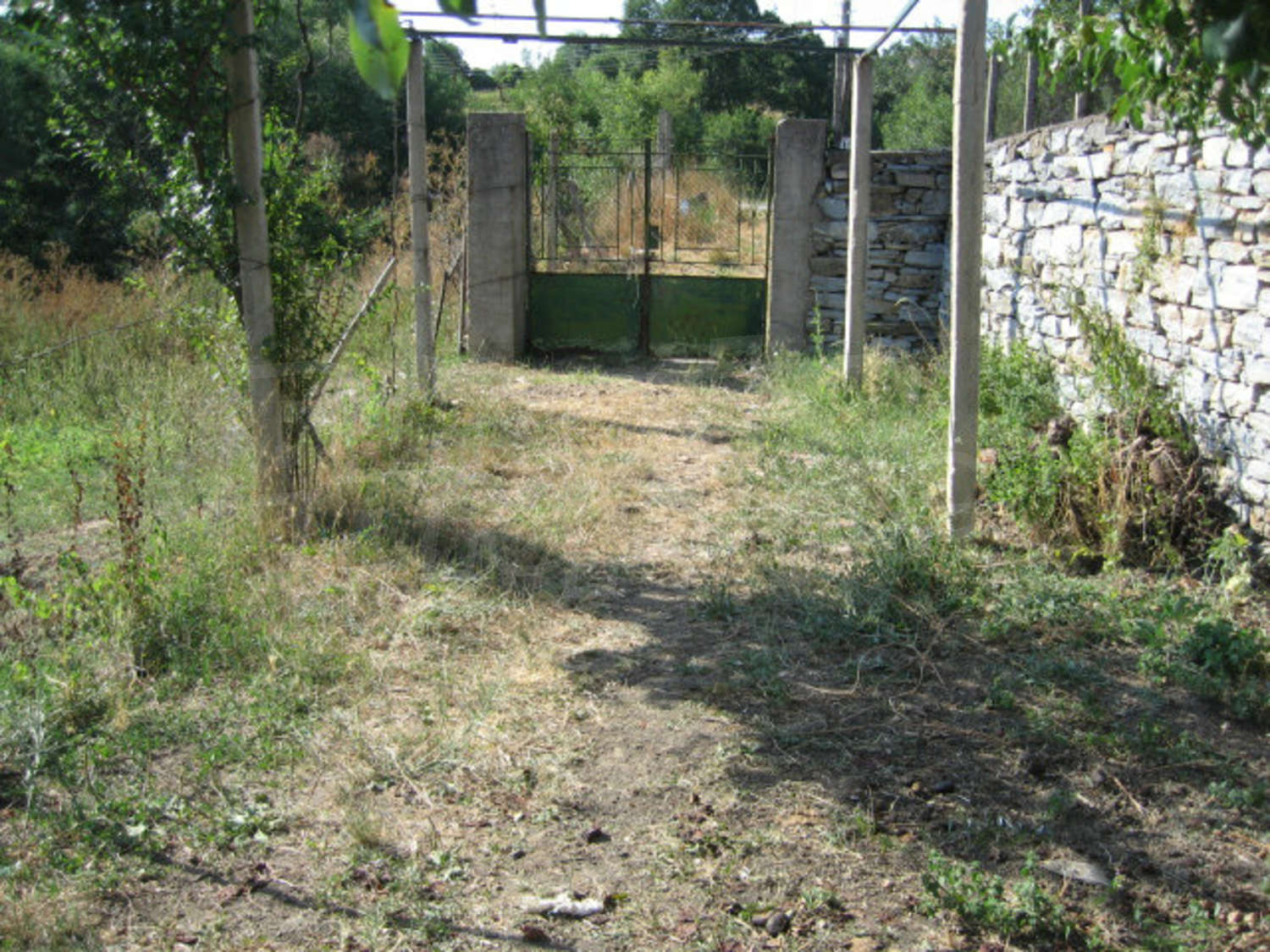 Gallery Picture 35