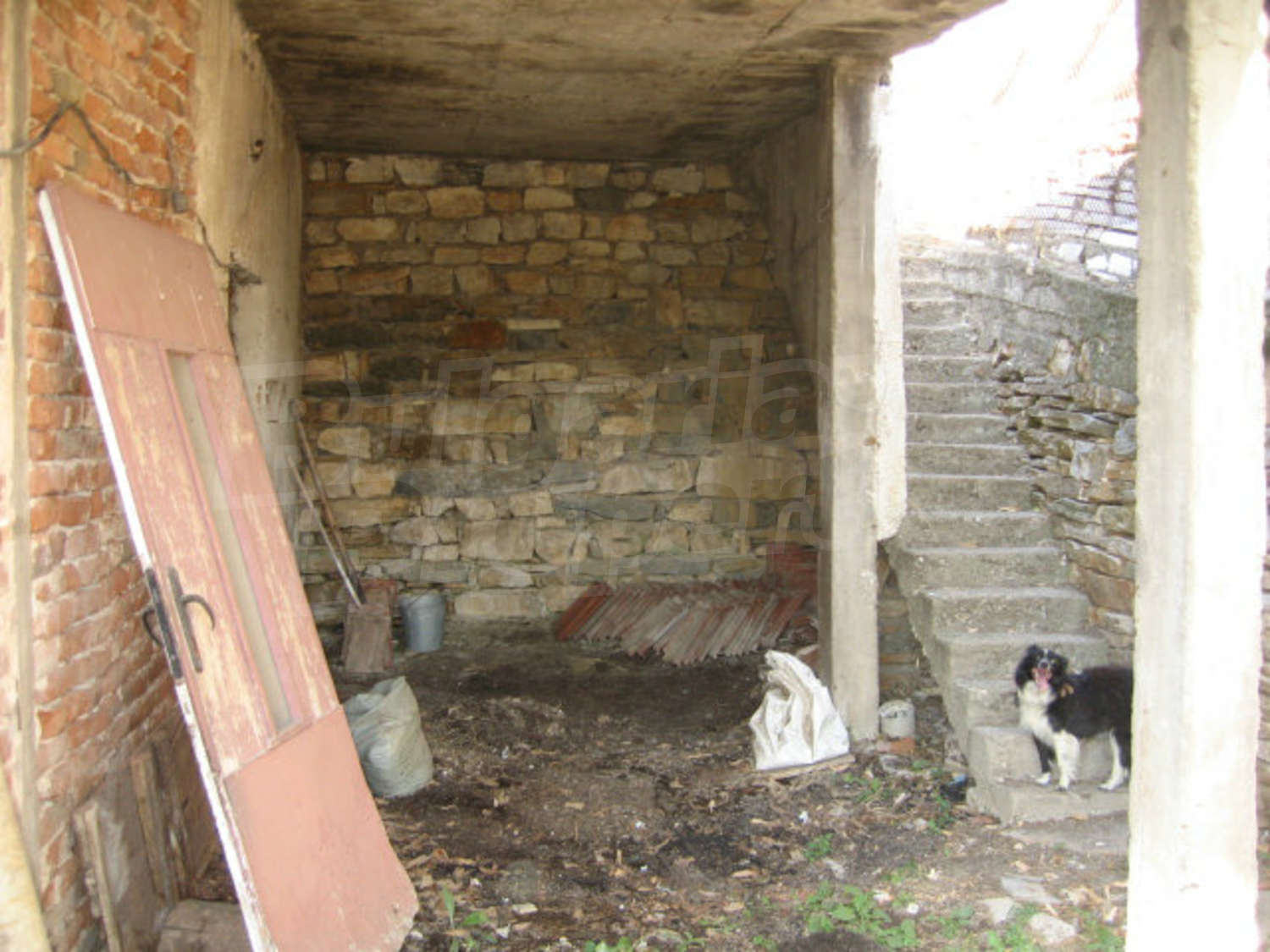 Gallery Picture 44