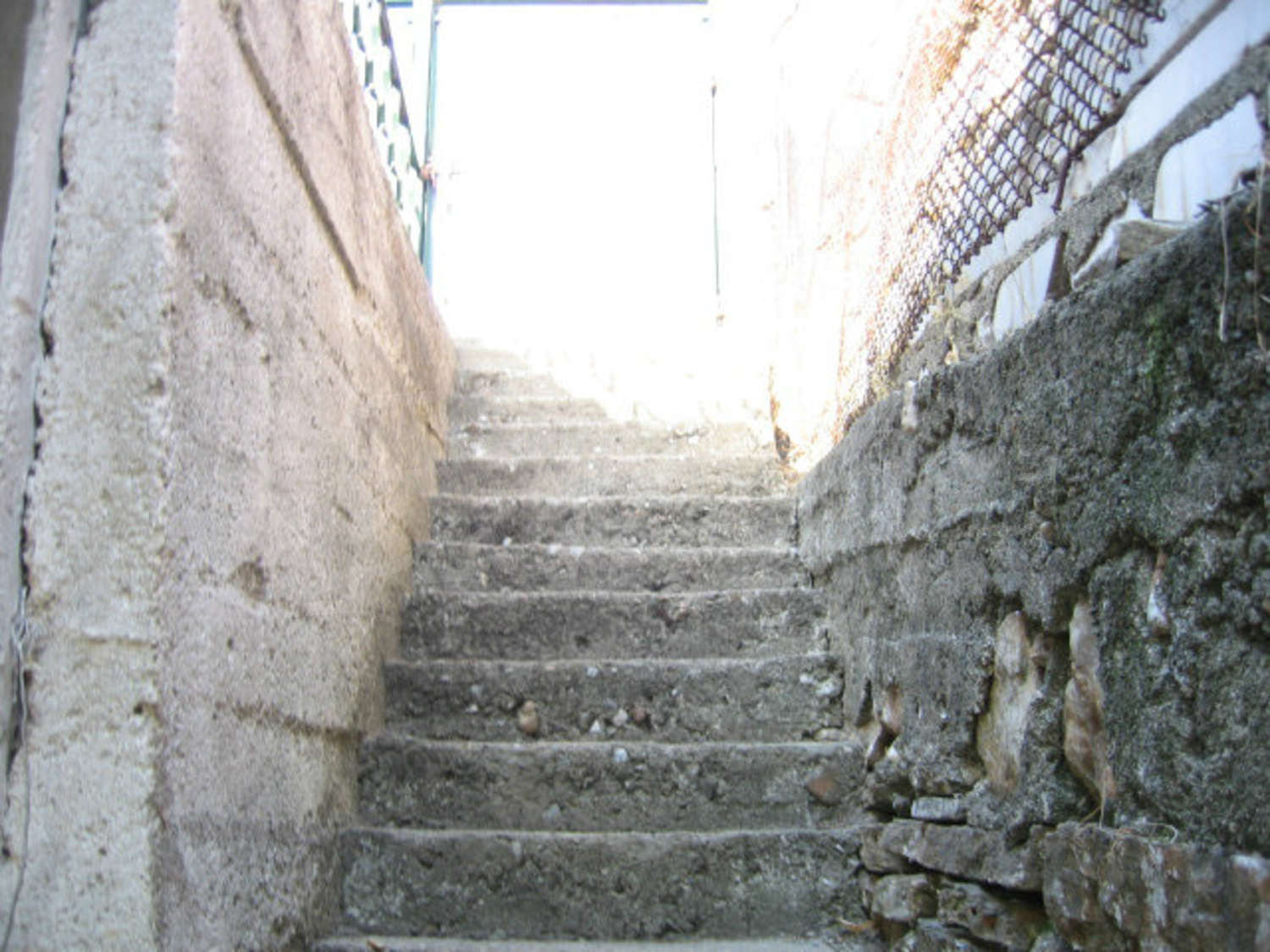 Gallery Picture 45