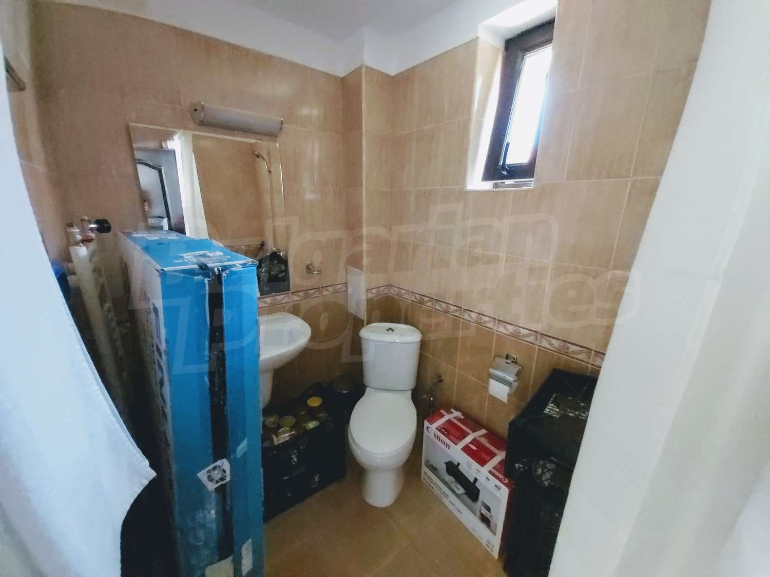 Gallery Picture 16