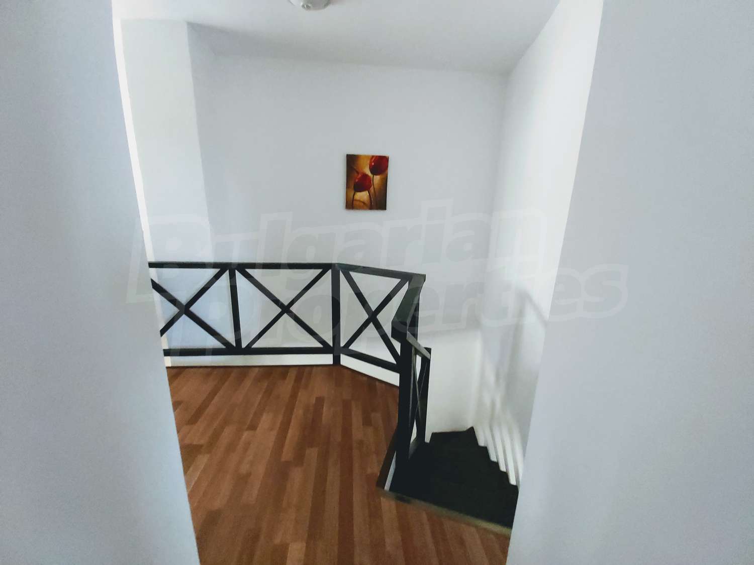Gallery Picture 33