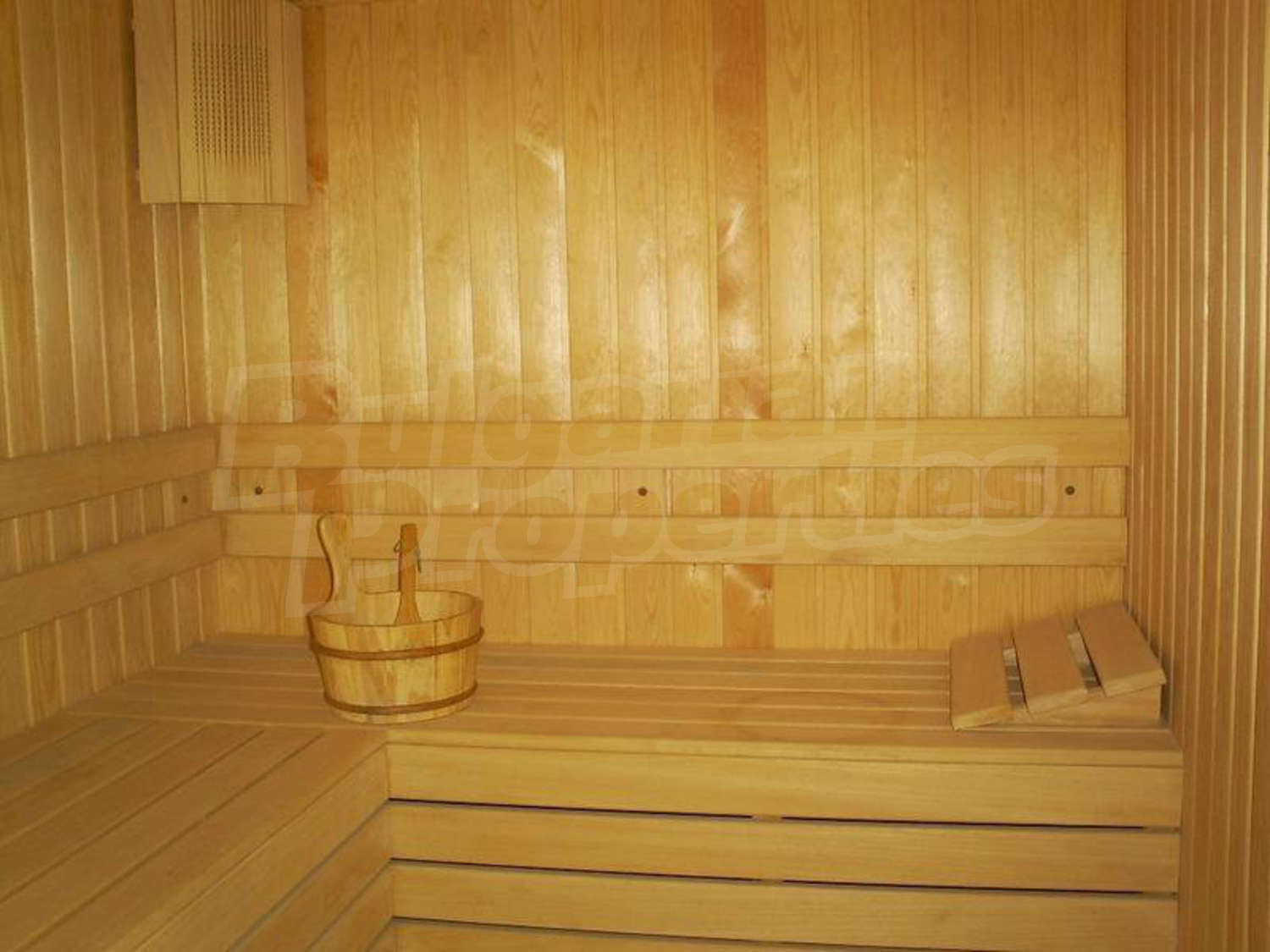 Gallery Picture 29