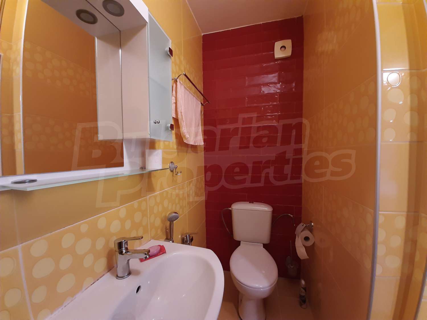 Gallery Picture 10