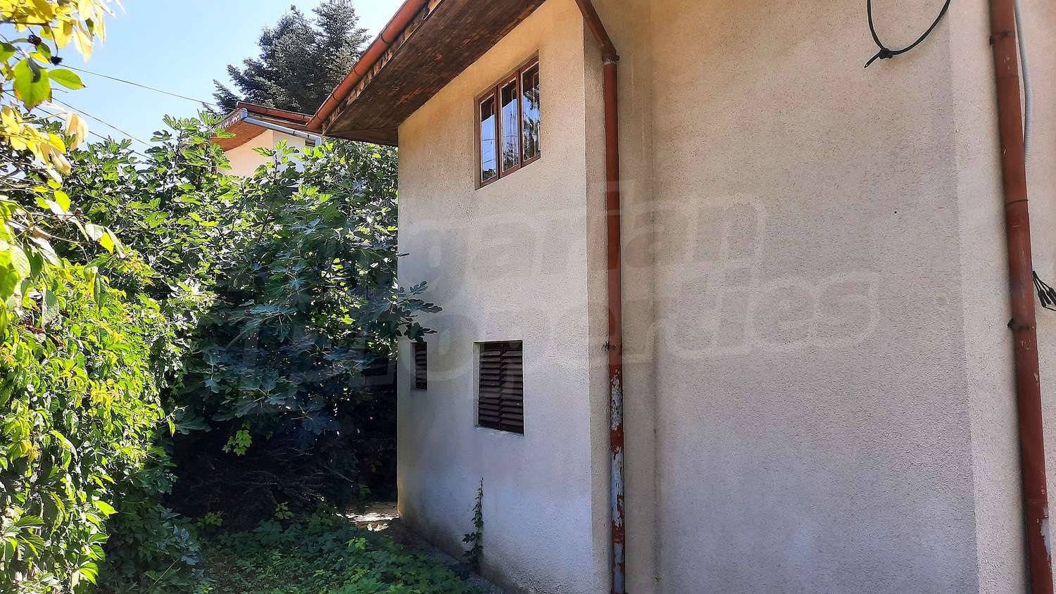 Gallery Picture 14